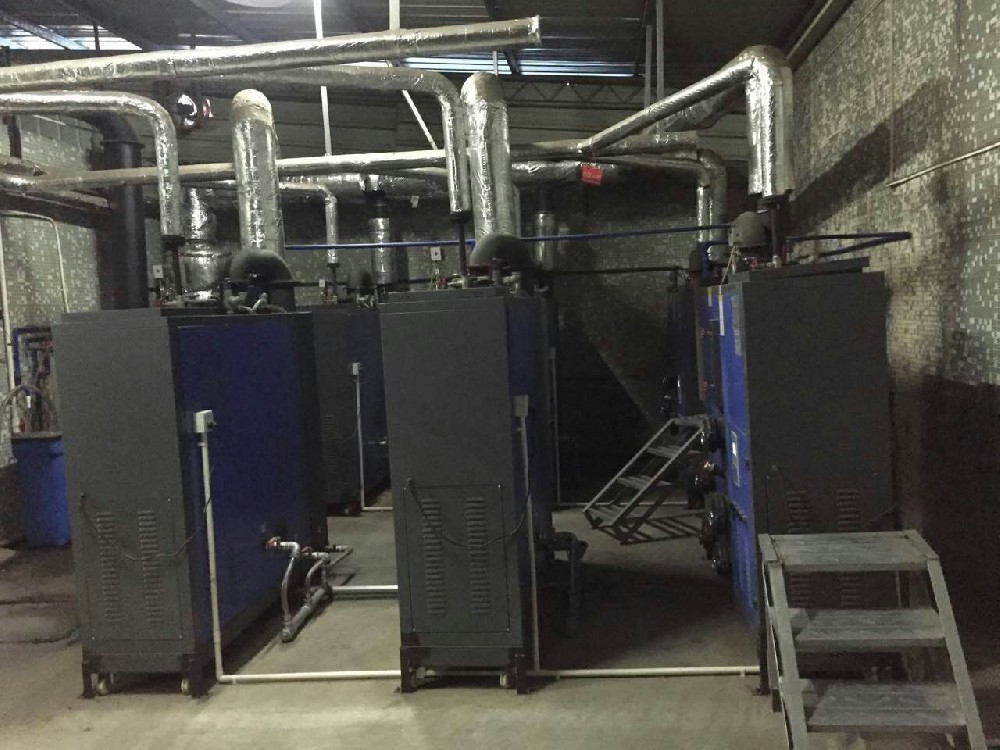 洗涤厂-6台生物质炉工程案例